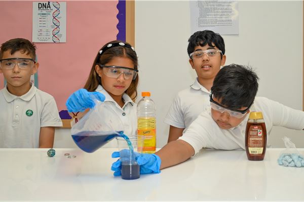 Grade 3, 4 and 5 Science Fair 