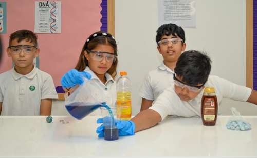 Grade 3, 4 and 5 Science Fair